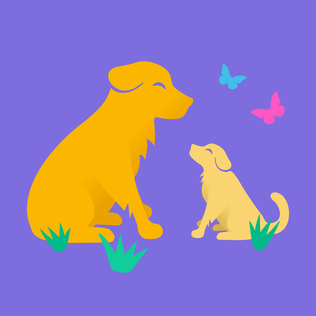 Puppy Socialisation: Essential Steps for Raising a Well-Adjusted Dog in London